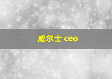 威尔士 ceo